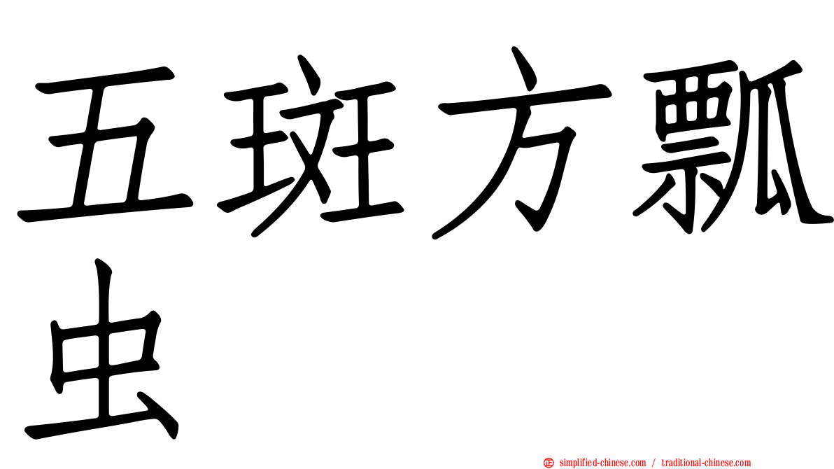 五斑方瓢虫