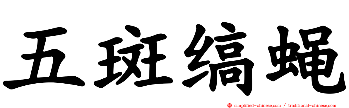 五斑缟蝇