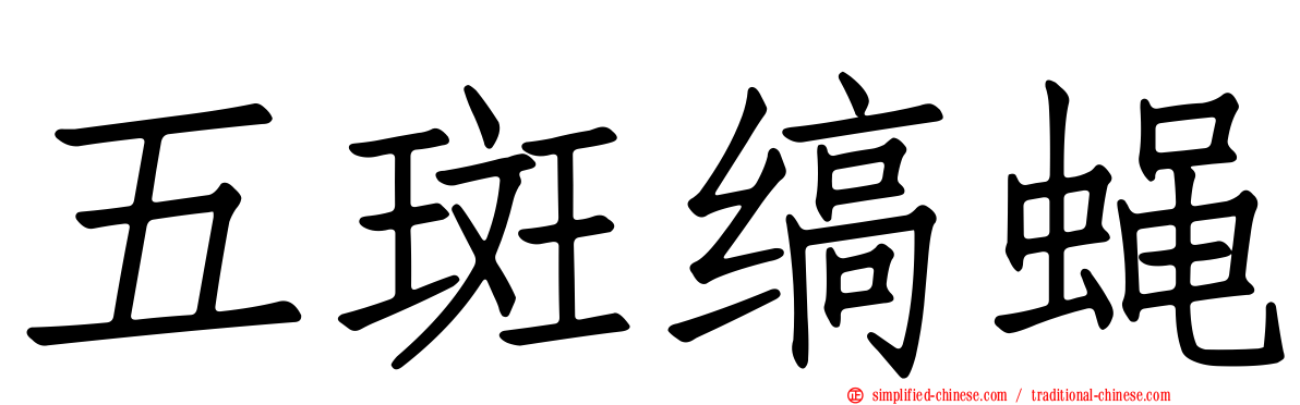 五斑缟蝇