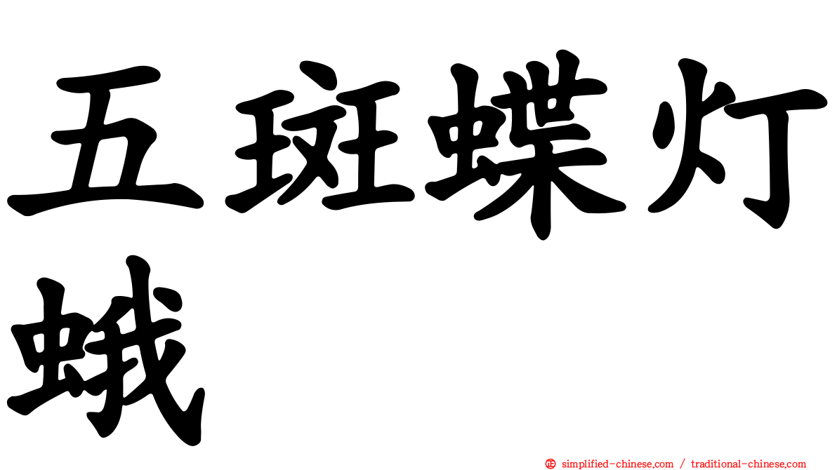 五斑蝶灯蛾