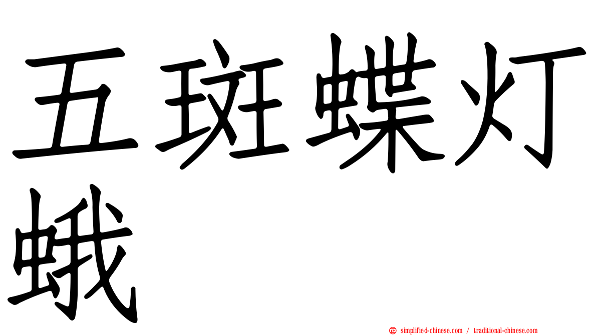 五斑蝶灯蛾