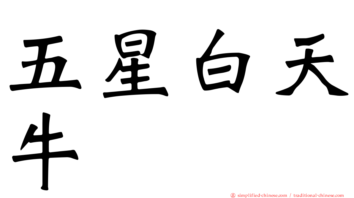 五星白天牛