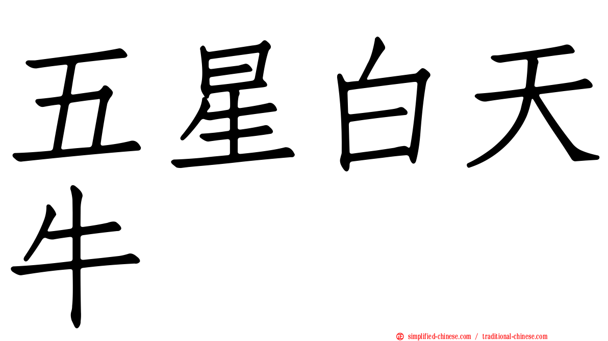 五星白天牛