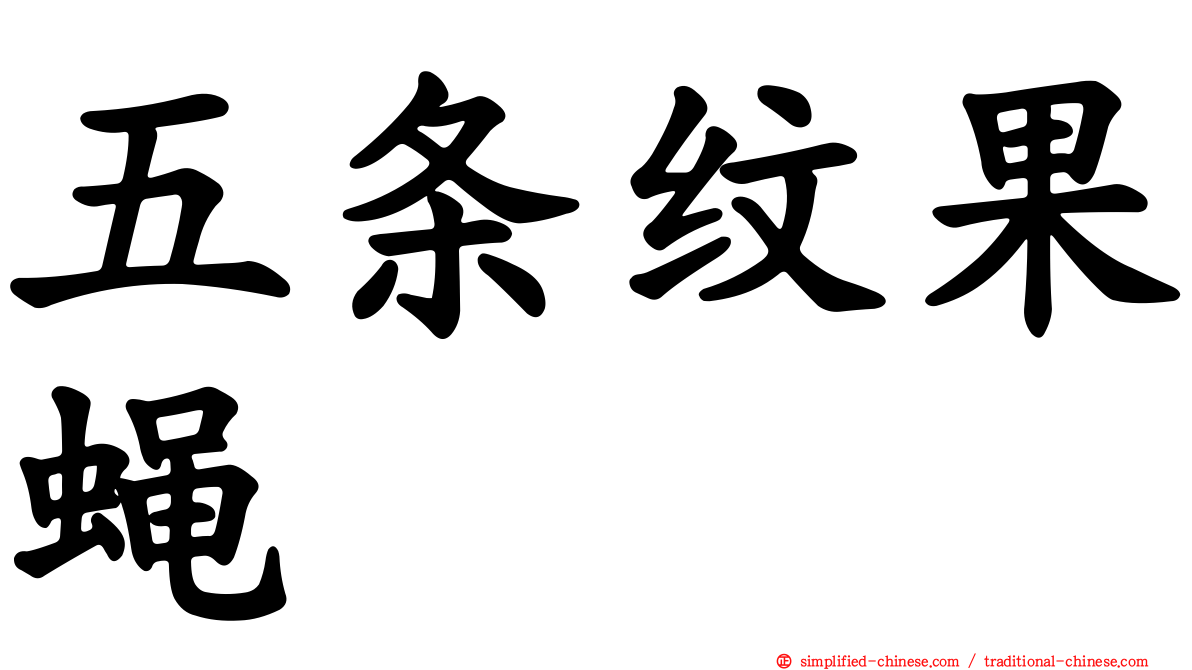 五条纹果蝇