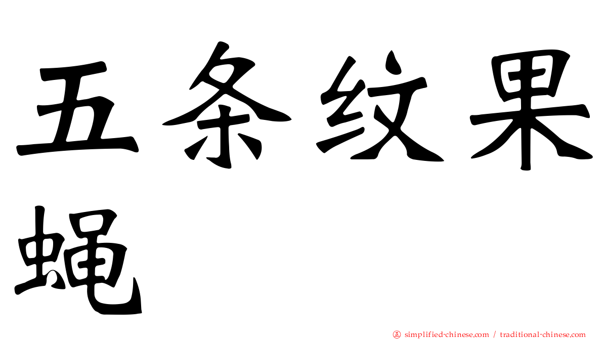 五条纹果蝇