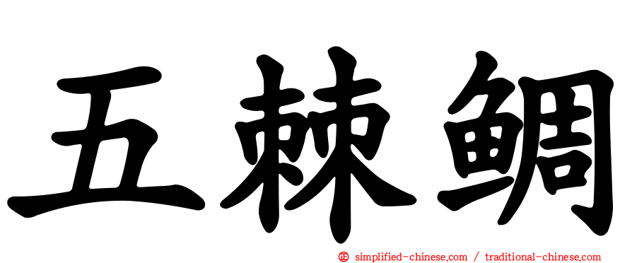 五棘鲷