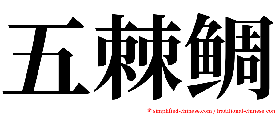 五棘鲷 serif font