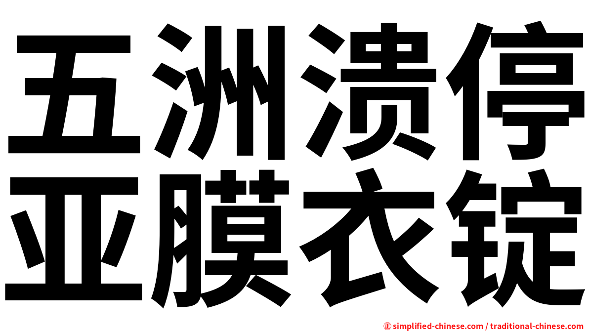 五洲溃停亚膜衣锭