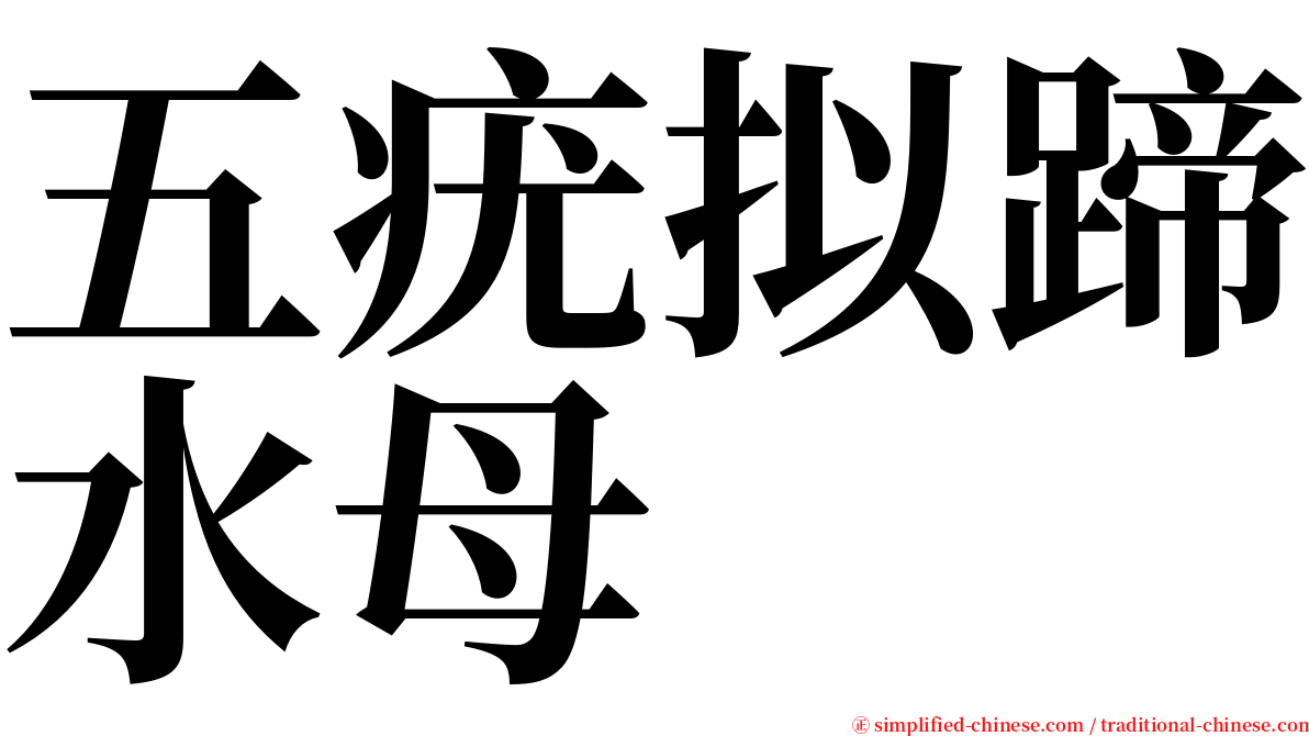 五疣拟蹄水母 serif font