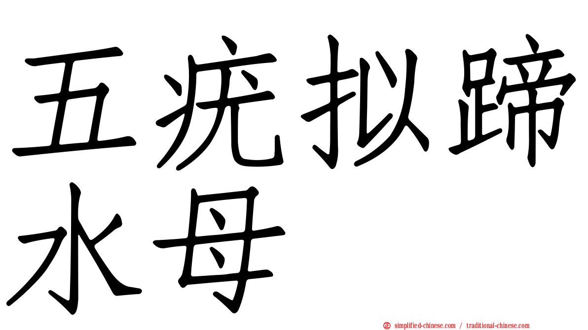 五疣拟蹄水母