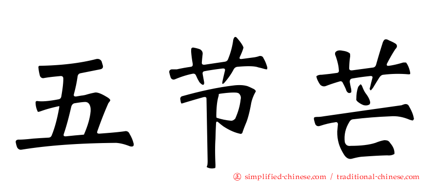 五节芒
