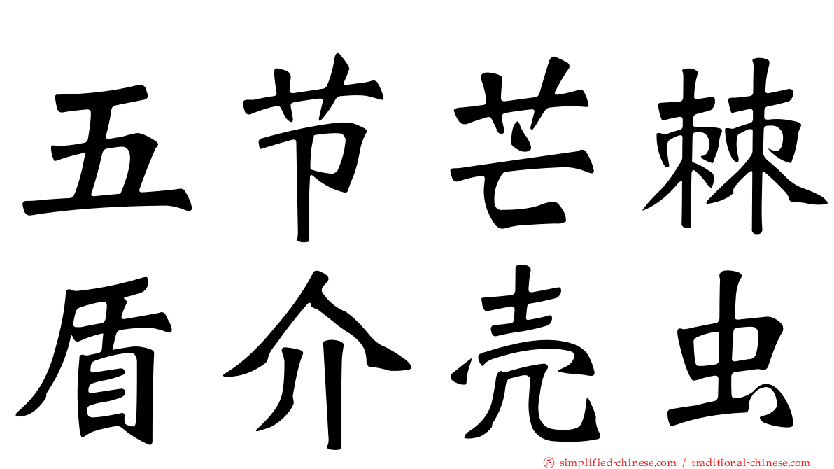 五节芒棘盾介壳虫