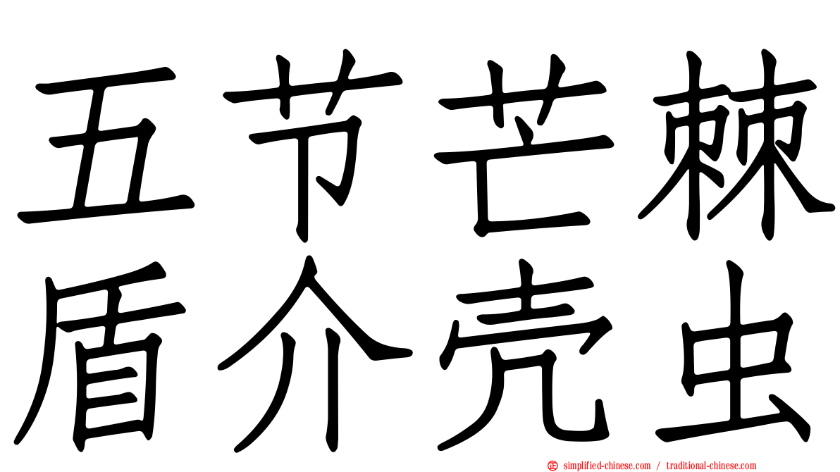 五节芒棘盾介壳虫