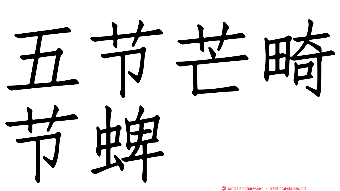 五节芒畸节蜱