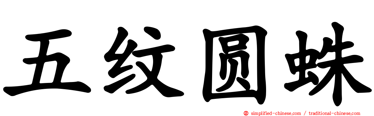 五纹圆蛛