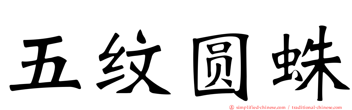 五纹圆蛛