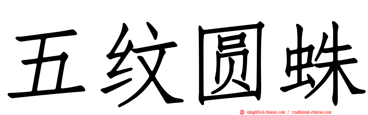 五纹圆蛛
