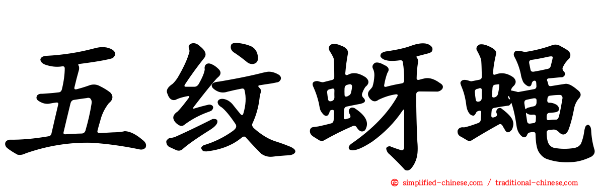 五纹蚜蝇