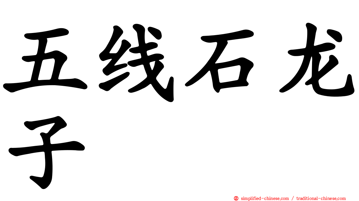 五线石龙子