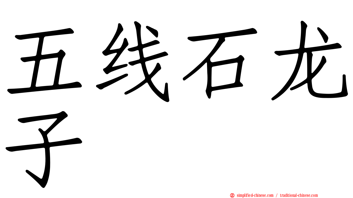五线石龙子