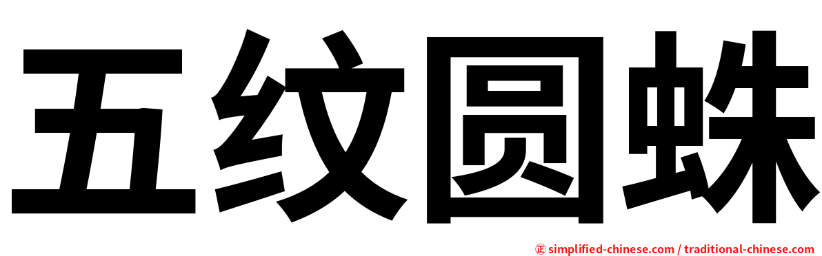 五纹圆蛛