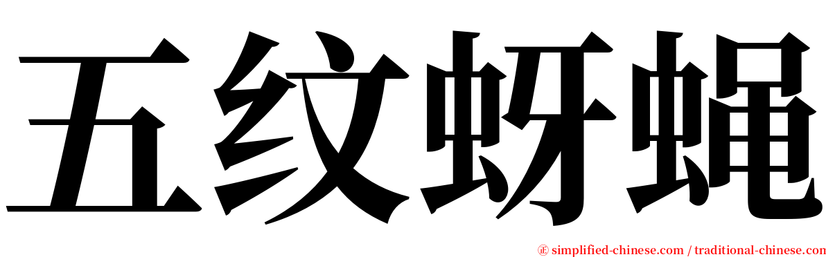 五纹蚜蝇 serif font