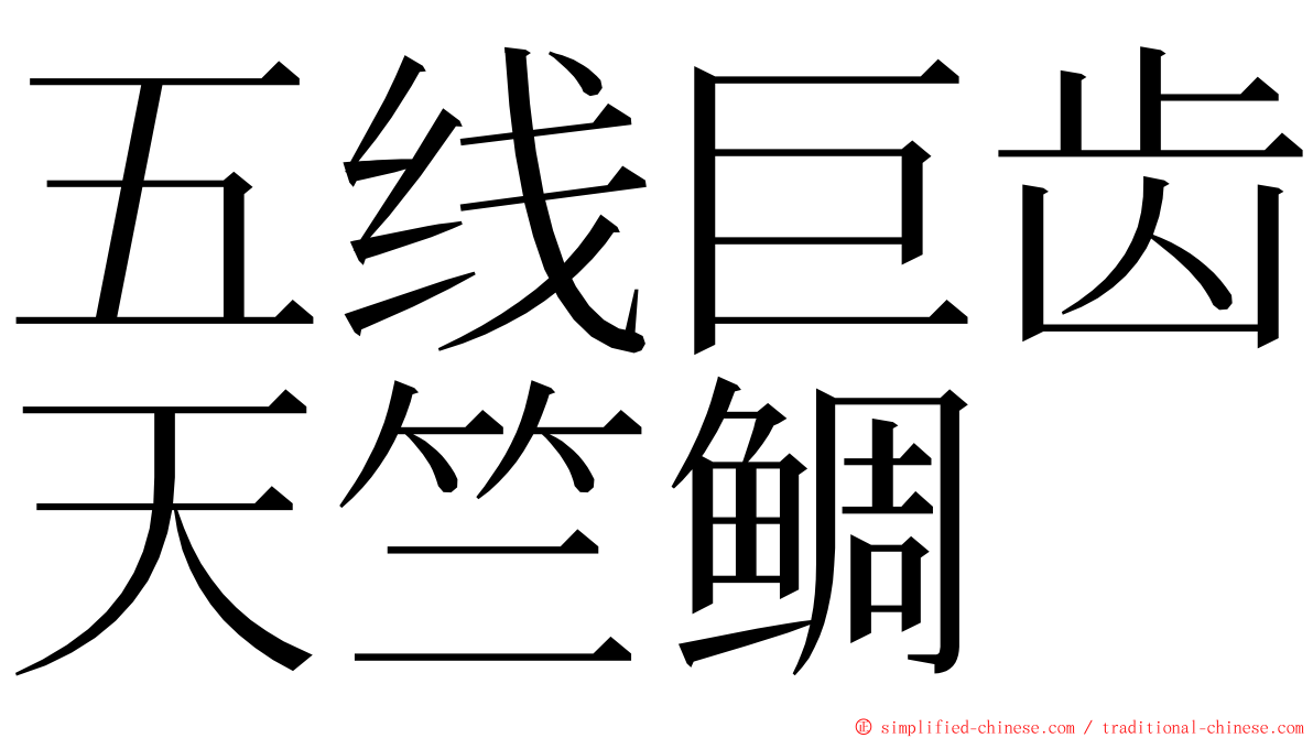 五线巨齿天竺鲷 ming font