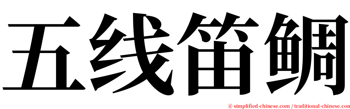 五线笛鲷 serif font