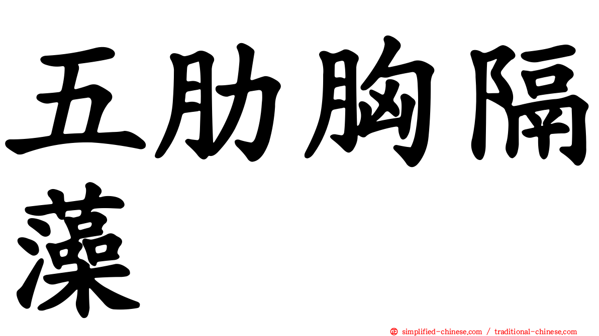 五肋胸隔藻