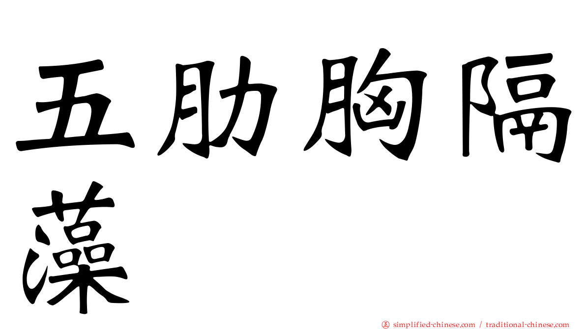 五肋胸隔藻