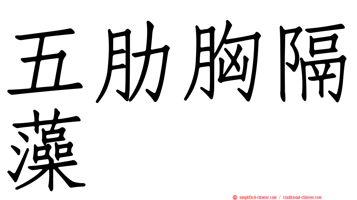 五肋胸隔藻