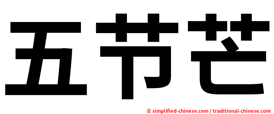 五节芒