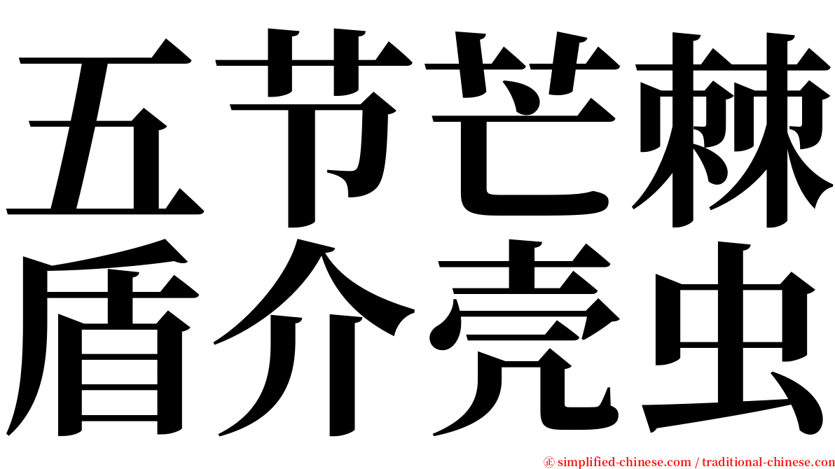 五节芒棘盾介壳虫 serif font