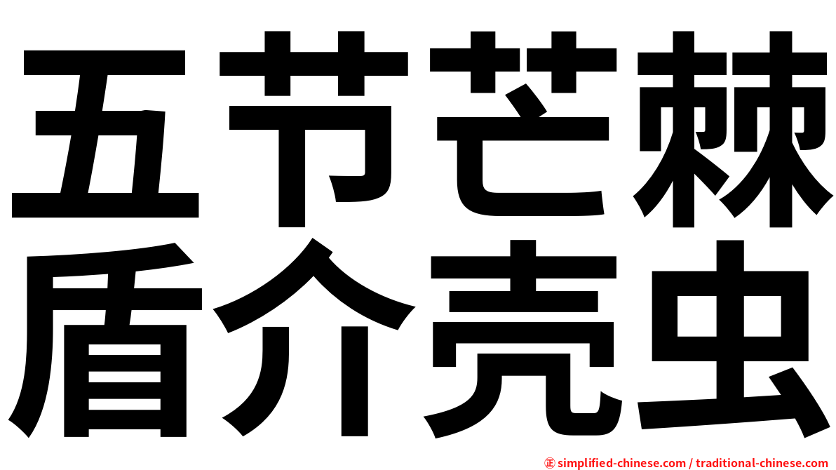 五节芒棘盾介壳虫