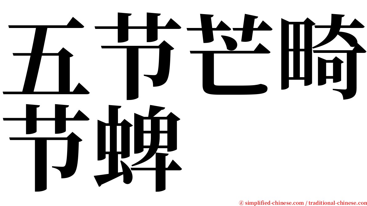 五节芒畸节蜱 serif font