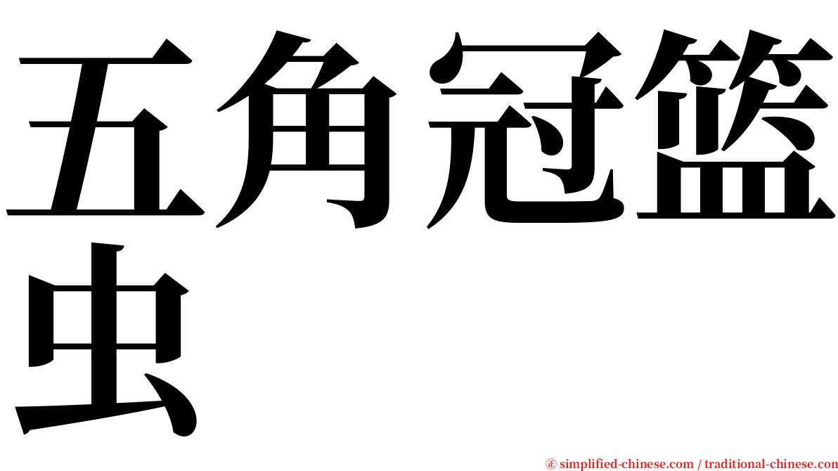 五角冠篮虫 serif font