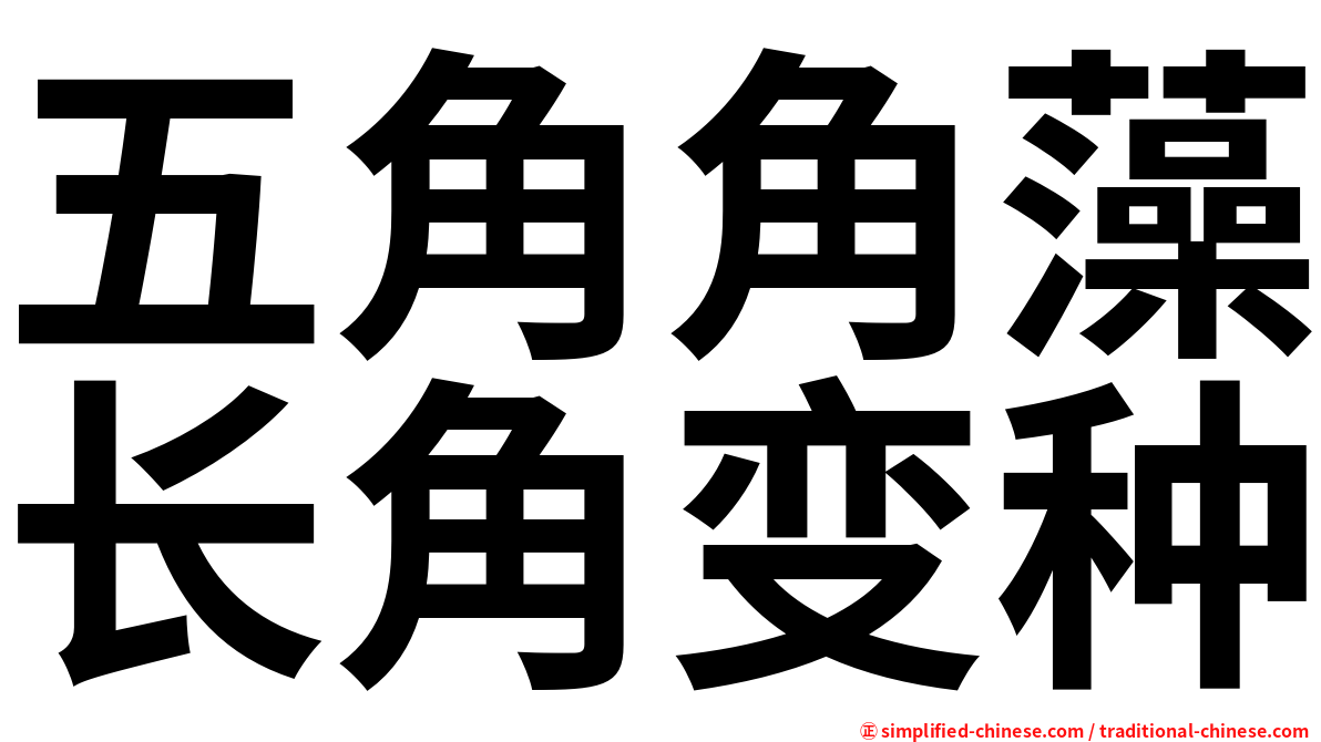 五角角藻长角变种