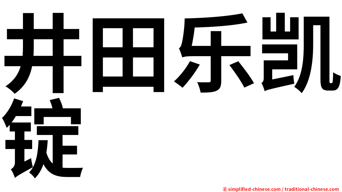 井田乐凯锭