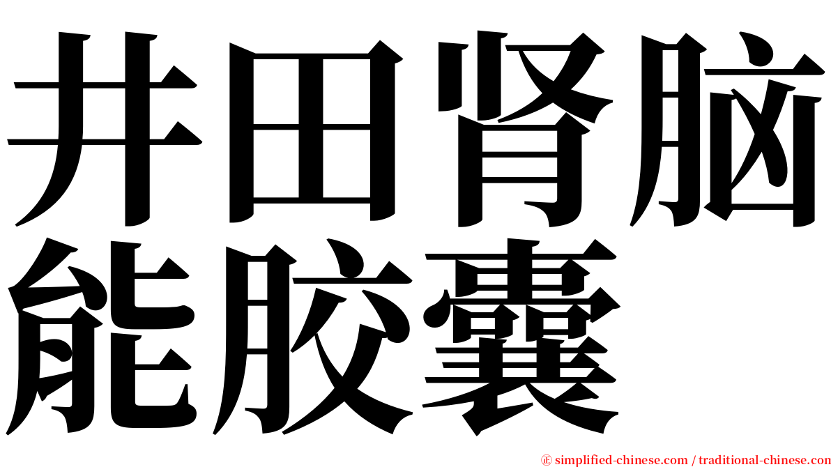井田肾脑能胶囊 serif font