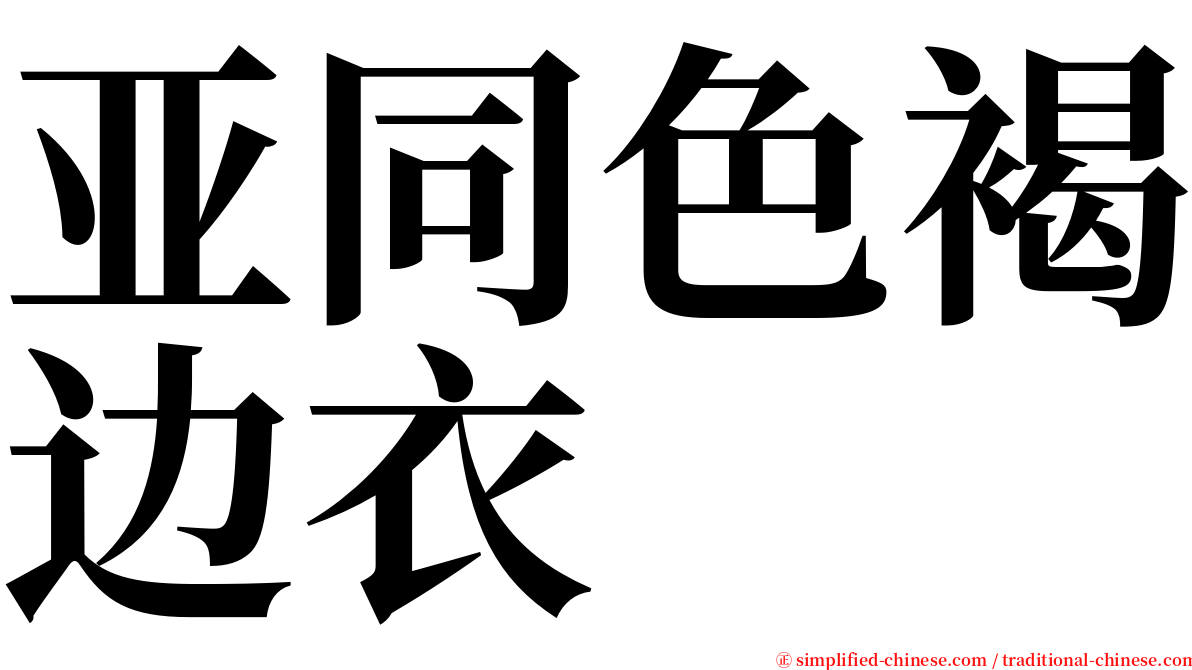 亚同色褐边衣 serif font