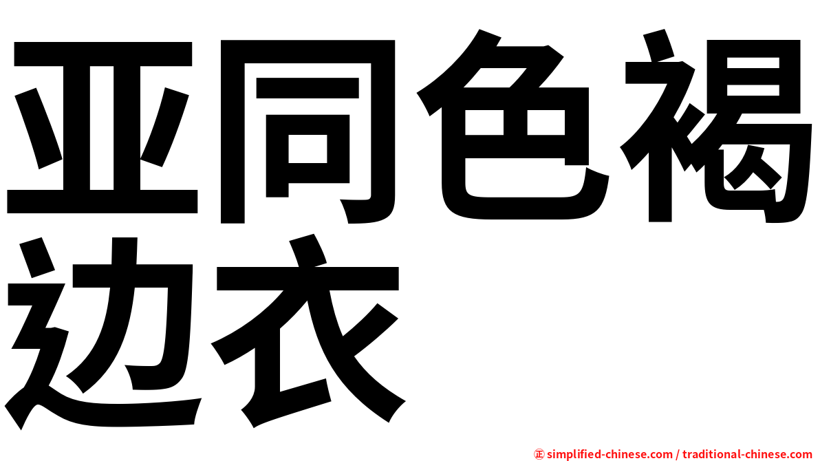 亚同色褐边衣