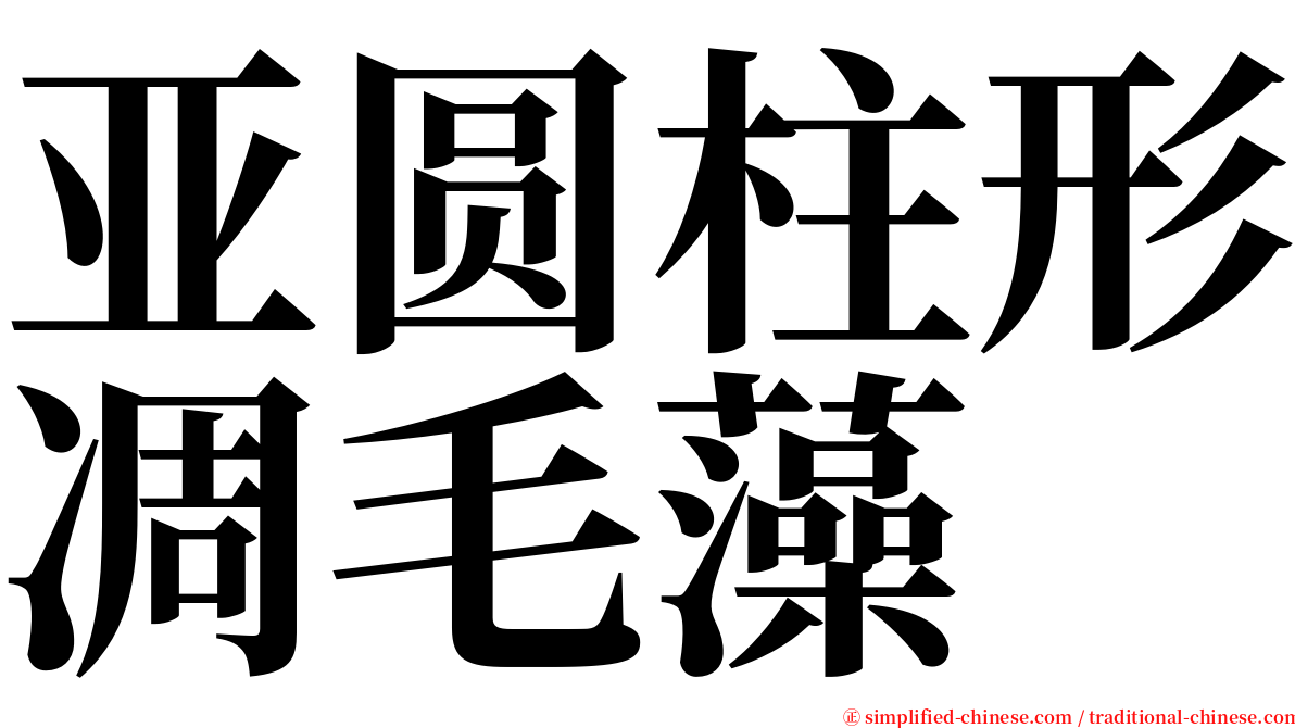 亚圆柱形凋毛藻 serif font