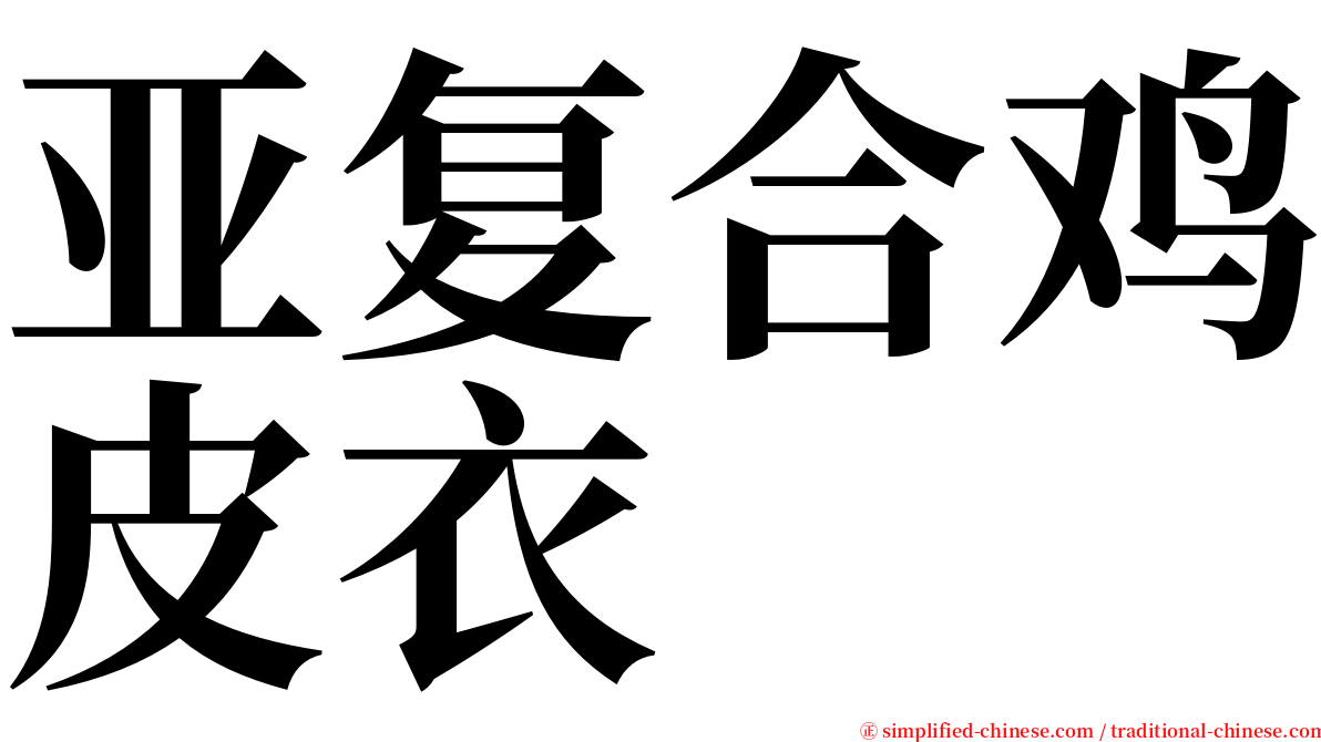 亚复合鸡皮衣 serif font