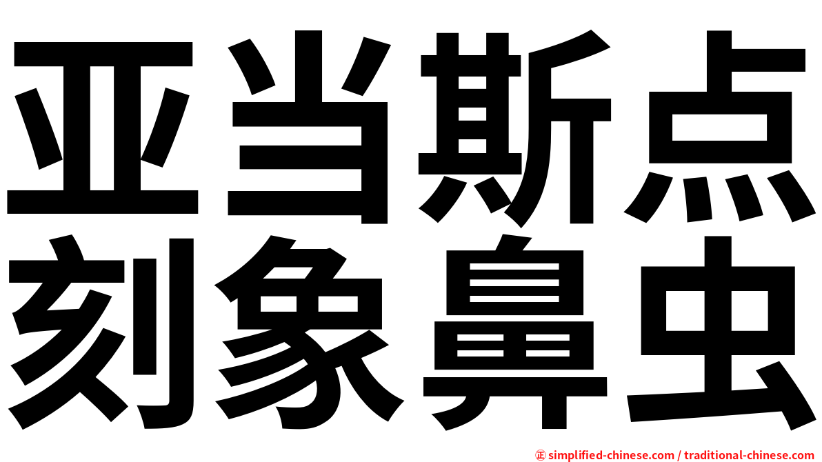 亚当斯点刻象鼻虫