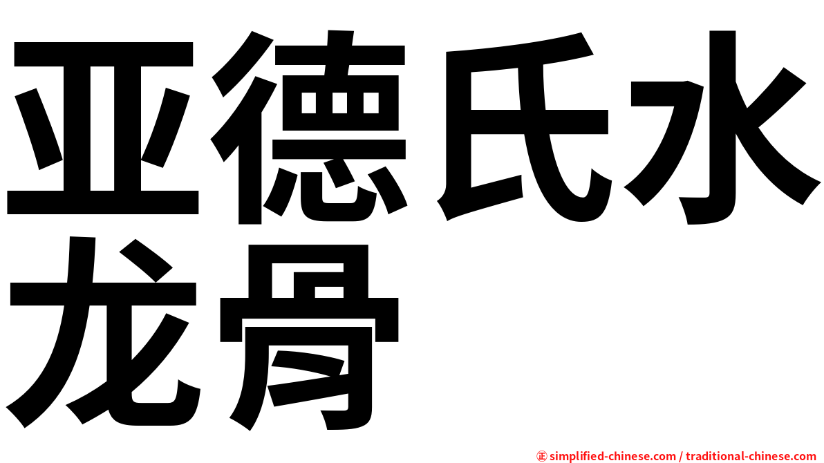 亚德氏水龙骨