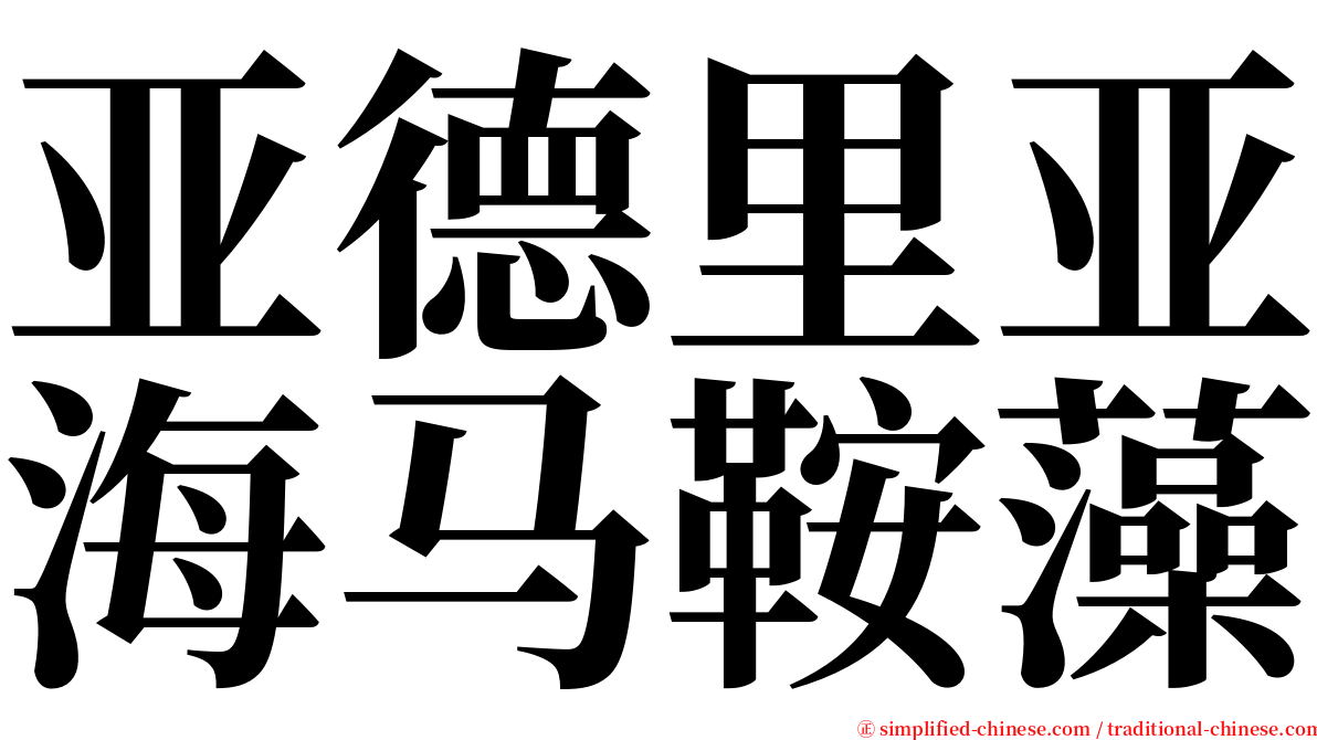 亚德里亚海马鞍藻 serif font