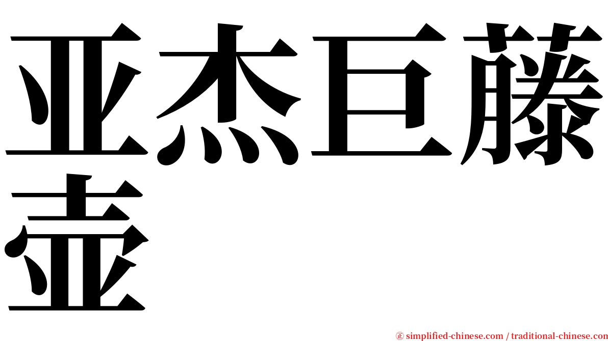 亚杰巨藤壶 serif font