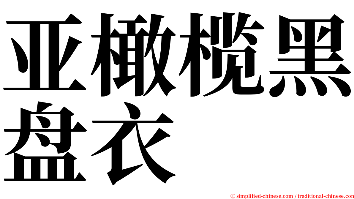 亚橄榄黑盘衣 serif font