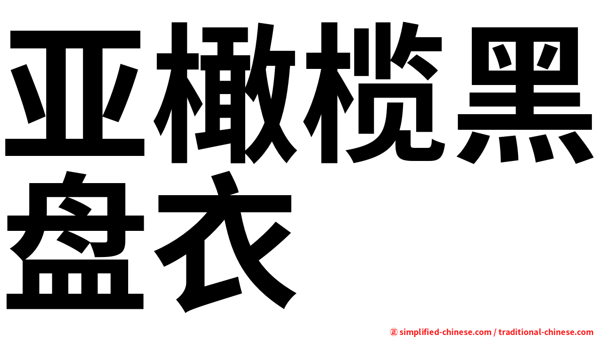 亚橄榄黑盘衣