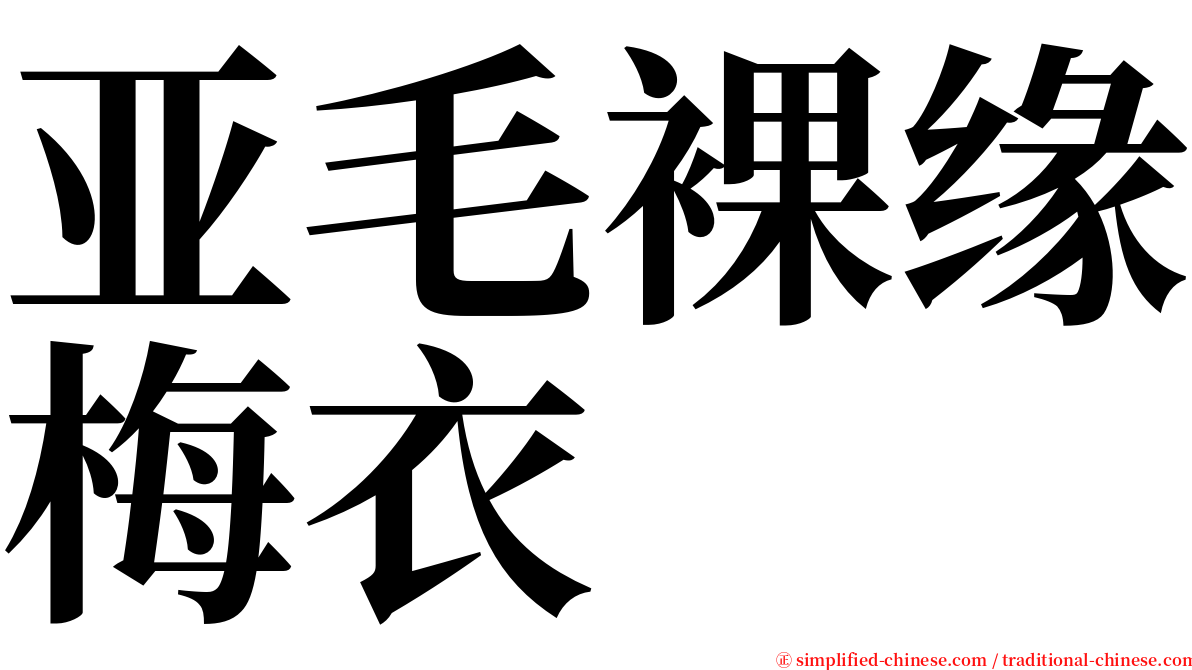 亚毛裸缘梅衣 serif font